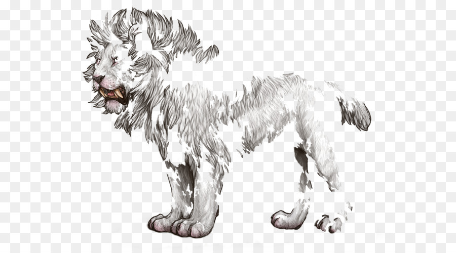 900x500 Dog Breed Lion Cat Sketch - Dog And Cat Sketch