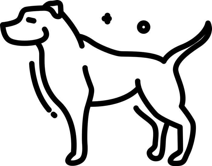 700x547 Pitbull Rubber Stamp (Sketch) Dog, Cat Amp Fur Baby Stamps - Dog And Cat Sketch