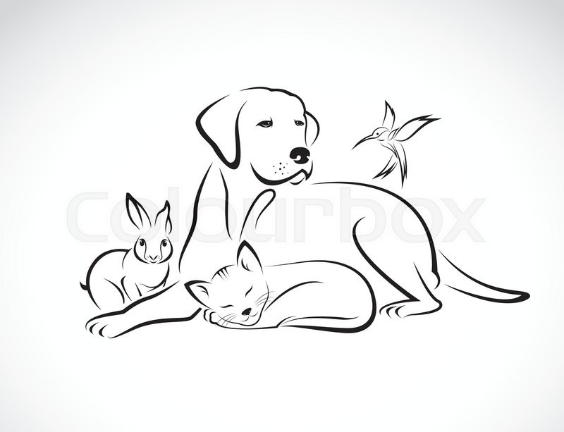 800x613 Vector Group Of Pets - Dog And Cat Sketch