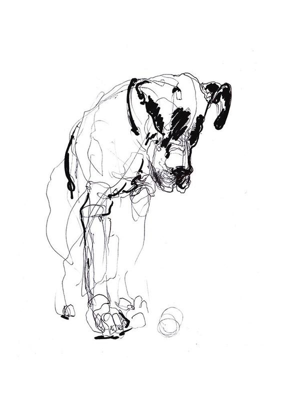 Dog Black And White Sketch at PaintingValley.com | Explore collection