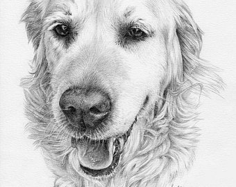 340x270 Dog Pencil Drawing Etsy - Dog Black And White Sketch
