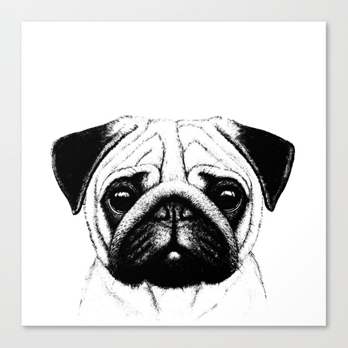 700x700 Black White Pug Pencil Sketch Canvas Print By - Dog Black And White Sketch