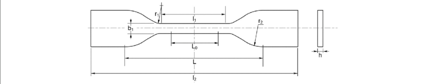 850x169 Sketch For The Dog Bone Specimen Download Scientific Diagram - Dog Bone Sketch