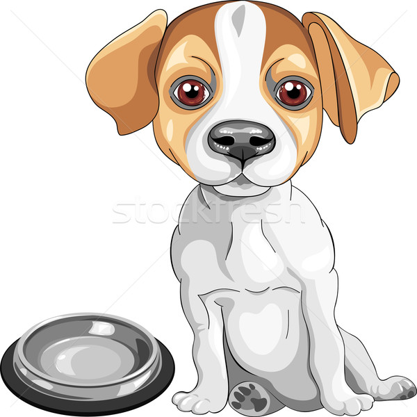 600x600 Vector Sketch Dog Jack Russell Terrier Breed Vector Illustration - Dog Bowl Sketch