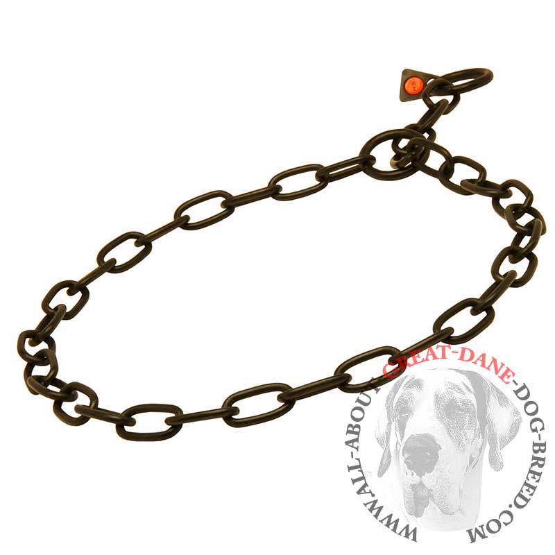800x800 Dog Collar Sketch - Dog Collar Sketch