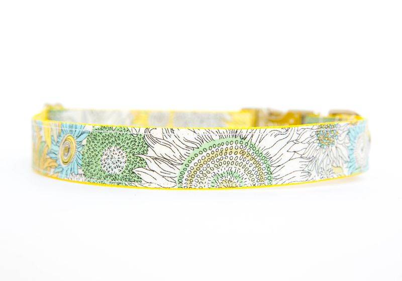 800x559 Liberty Of London Dog Collar - Dog Collar Sketch