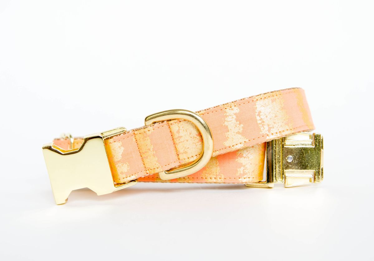 1200x839 Peach And Gold Sketch Dog Collar - Dog Collar Sketch