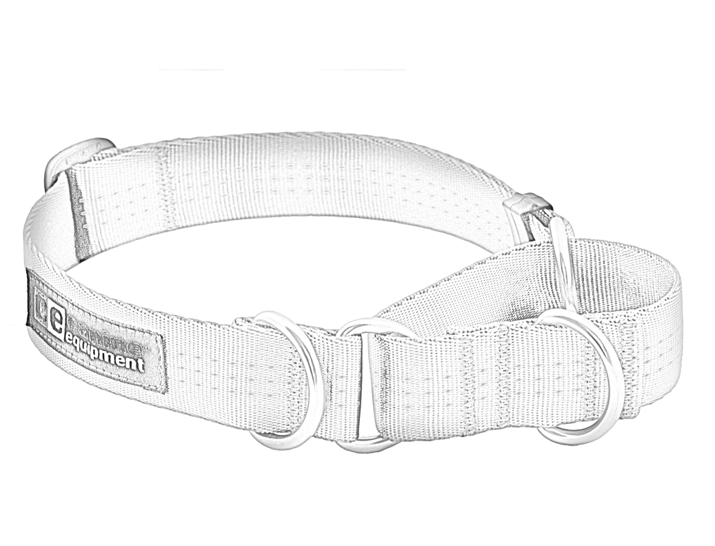 1037x792 Webbing Martingale Tec - Dog Collar Sketch