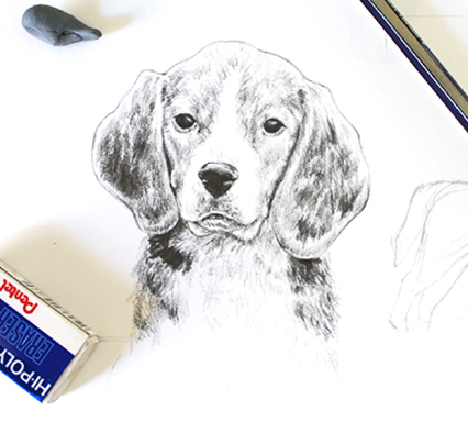 426x394 How To Draw Dog Eyes That Look Amazingly Realistic - Dog Eyes Sketch