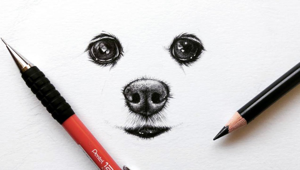 1273x721 How To Draw A Pomeranian Dog - Dog Eyes Sketch