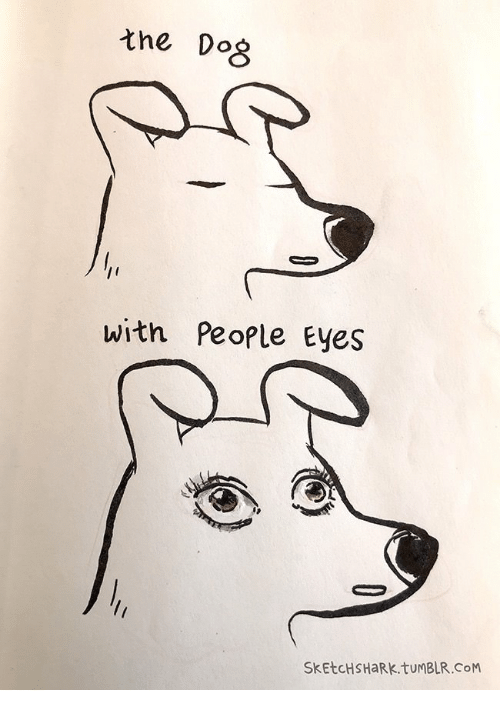 500x712 The Dog With People Eyes Sketchsharktumblrcom Tumblr Meme On - Dog Eyes Sketch