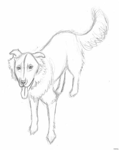 380x478 Dog Sketch Drawing Easy Unique Puppy Dog Face Drawing - Dog Face Sketch