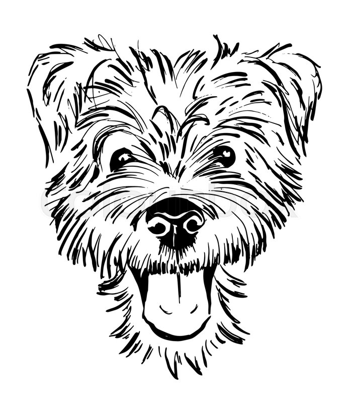 688x800 Dog Breed Terrier, Smiling Dog Face, Portrait, Sketch, Black And - Dog Face Sketch