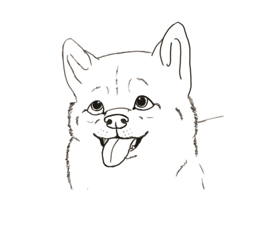 922x867 Dog Face Sketch By Loneewolf - Dog Face Sketch