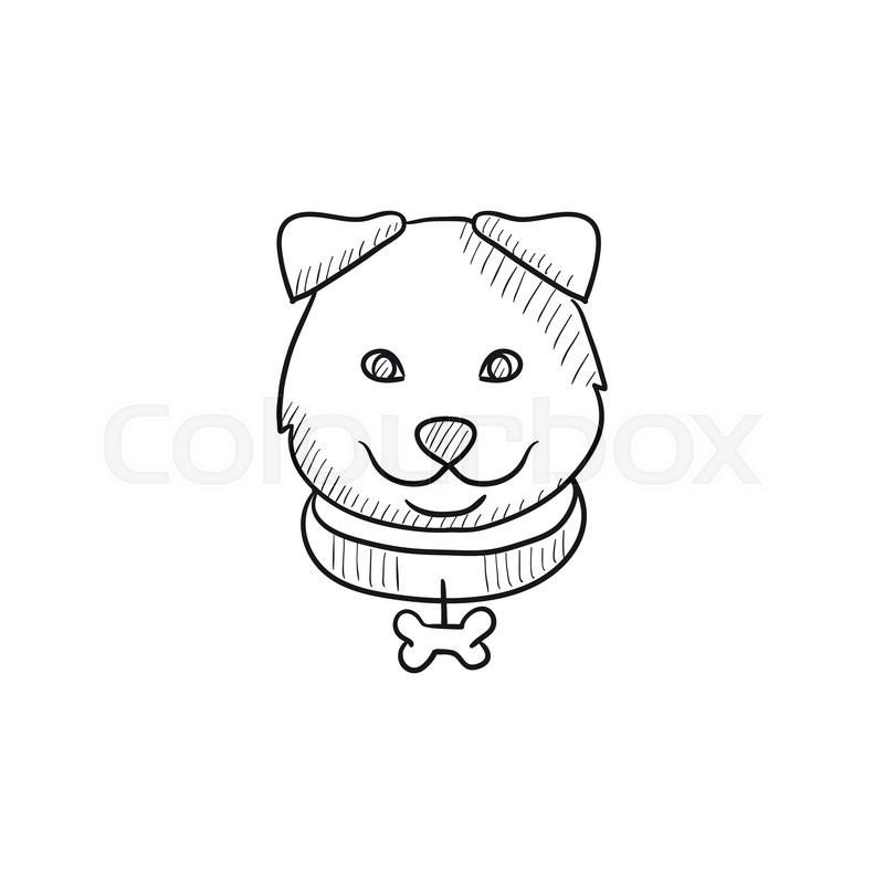 800x800 Dog Head Vector Sketch Icon Isolated On Background. Hand Drawn Dog - Dog Face Sketch