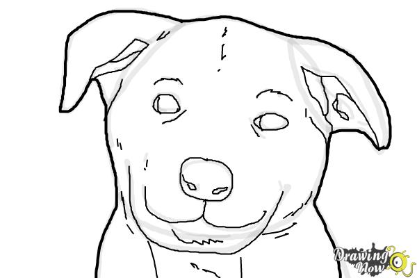 600x400 How To Draw A Dog Face - Dog Face Sketch