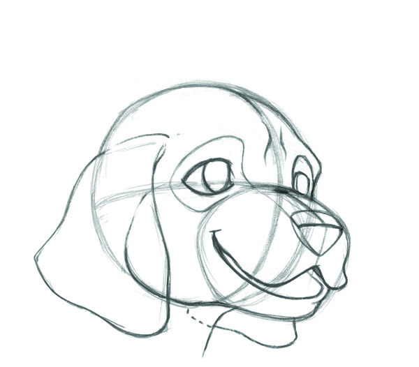 600x526 National Dog Day How To Draw A Dog Face - Dog Face Sketch