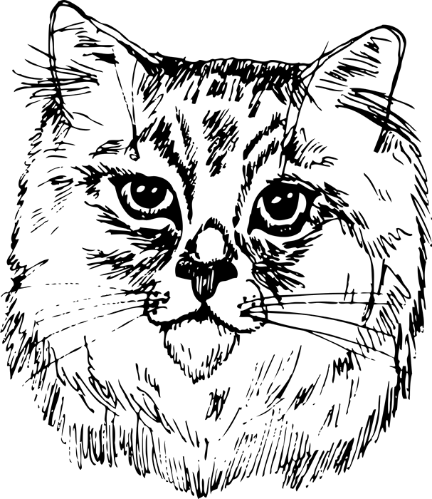 607x700 Siberian Cat Face (Sketch Style) Dog, Cat Amp Fur Baby Stamps - Dog Face Sketch