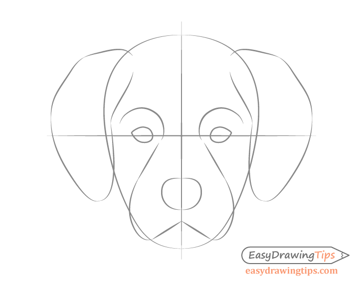 728x570 Dog Head Front View Drawing Step By Step - Dog Face Sketch