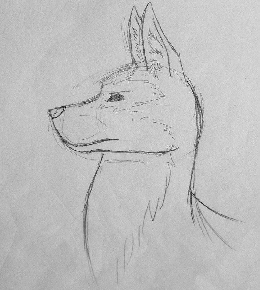 846x944 Dog Head Sketch By Redbell9 - Dog Head Sketch