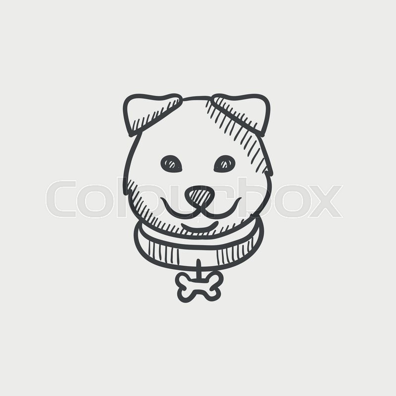 800x800 Dog Head Sketch Icon Set For Web, Mobile And Infographics. Hand - Dog Head Sketch