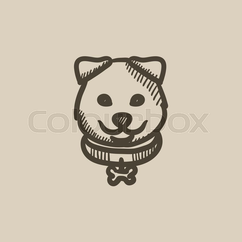 800x800 Dog Head Vector Sketch Icon Isolated On Background. Hand Drawn Dog - Dog Head Sketch