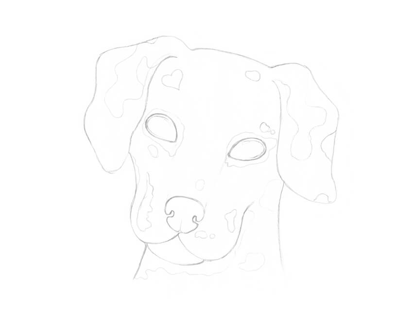 850x667 How To Draw A Dalmatian Dog - Dog Head Sketch