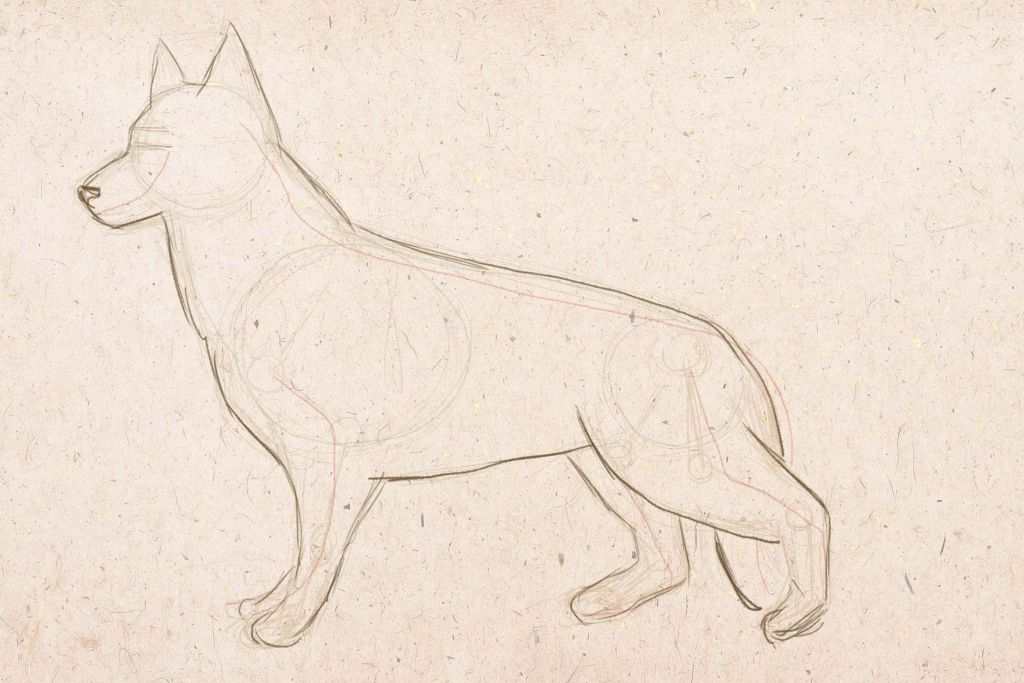1024x683 How To Draw A Dog - Dog Head Sketch