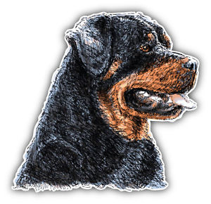 300x290 Rottweiler Dog Head Sketch Car Bumper Sticker Decal 5' X 5' Ebay - Dog Head Sketch