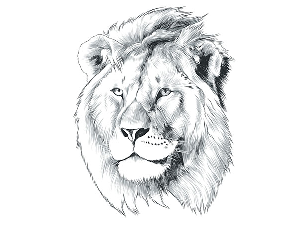 614x454 T617 Regular Fit Printed T Shirt Lion - Dog Head Sketch