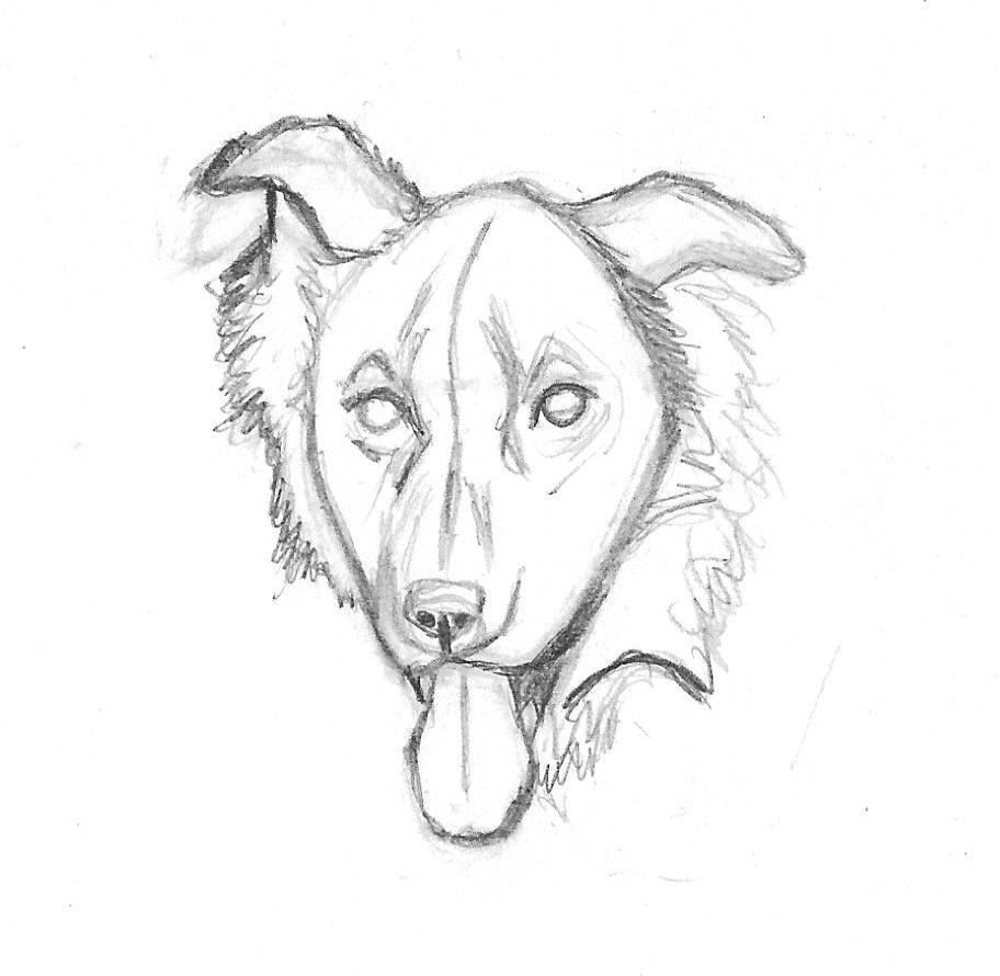 912x890 Zipper Head Sketch 2.jpg Dog Sketches - Dog Head Sketch