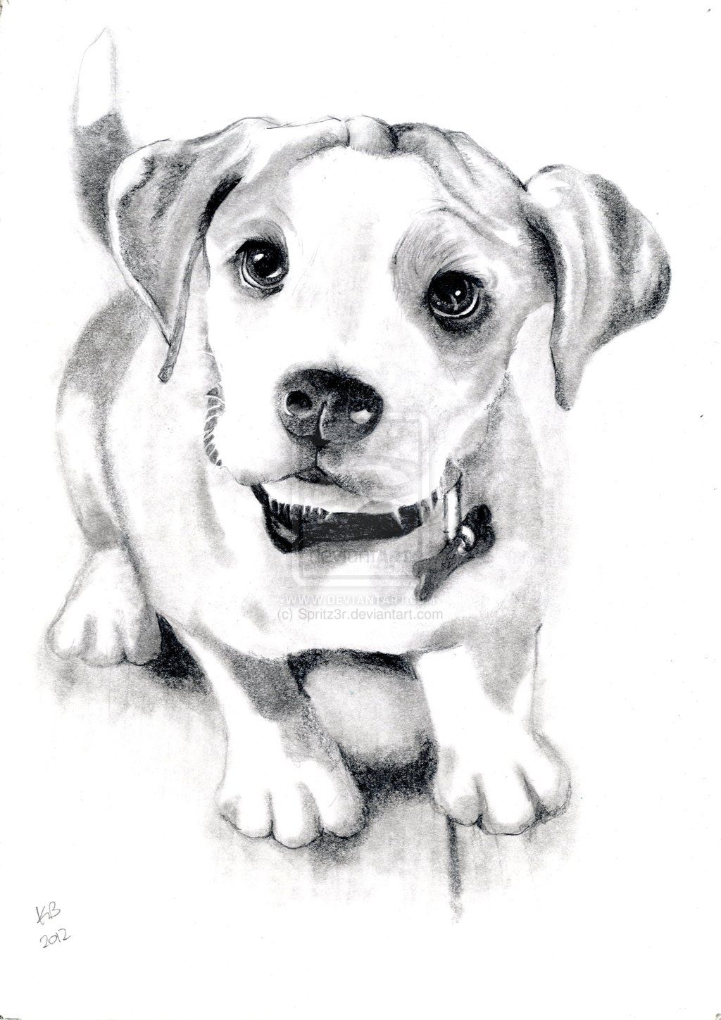 1024x1449 Dog Sketch By On @ Dog - Dog Images Sketch