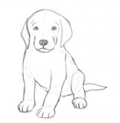 236x242 Dog Drawings In Pencil Easy For Kids Sketch Coloring - Dog Images Sketch