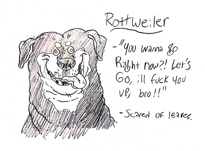 700x514 24 Dog Breed Illustrations That Tell The Truth About Their - Dog Kennel Sketch