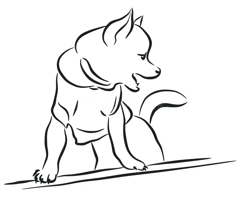 800x659 Dog Lineart By Simple Line Art Machineui - Dog Line Sketch