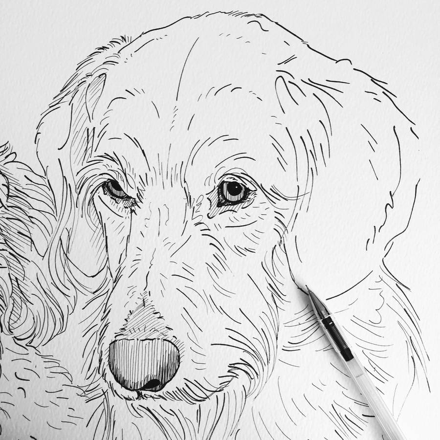 900x900 Personalised Pet Portrait Line Drawings By Adam Regester Design - Dog Line Sketch