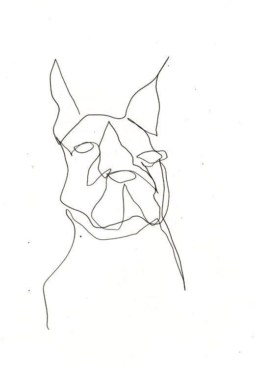520x753 Continuous Line Drawing By Leigh Jackson Noisy Dog Studio Www - Dog Line Sketch