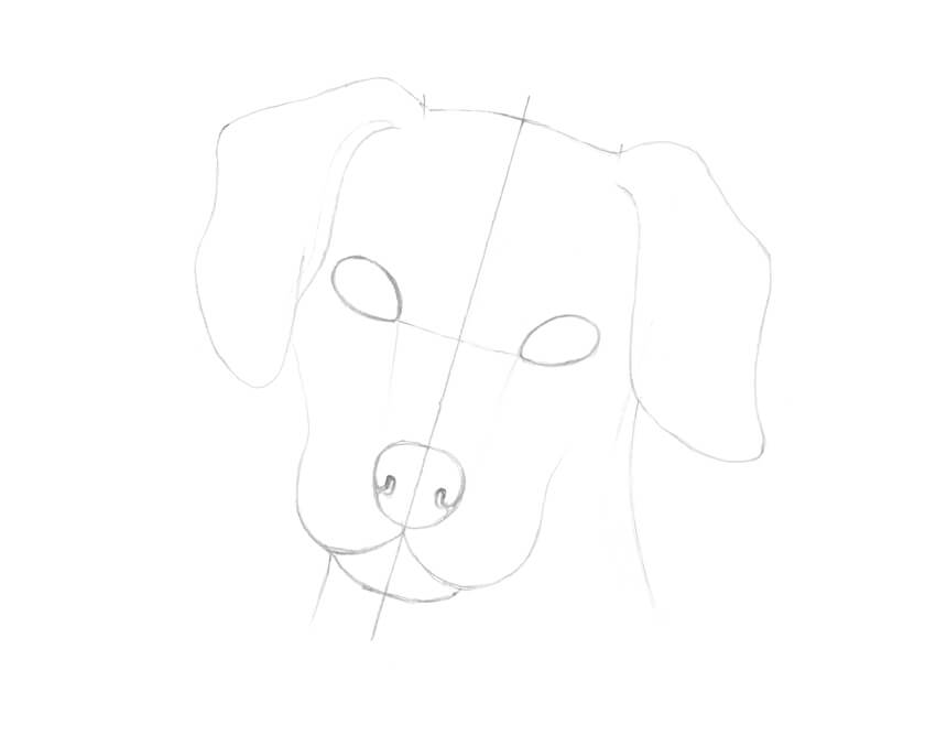850x667 How To Draw A Dalmatian Dog - Dog Nose Sketch