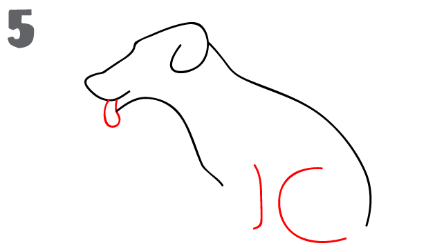 642x362 How To Draw A Dog - Dog Outline Sketch