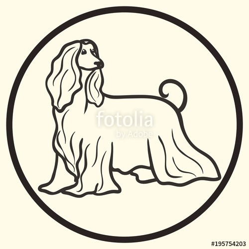 500x500 Afghan Hound Dog Breed Vector Silhouette Sign, Symbol. Doggy - Dog Outline Sketch