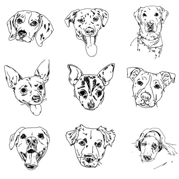 570x570 Pet Portrait Sketch Rough Outline Quick Black Amp White Line Etsy - Dog Outline Sketch