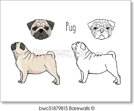 437x364 Art Print Of Bundle Of Colorful And Monochrome Outline Drawings Of - Dog Outline Sketch