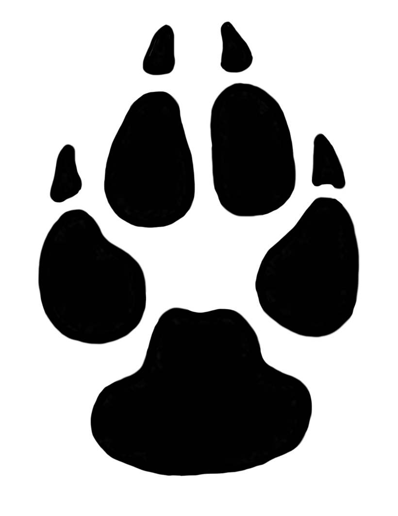 820x1063 Dog Print Png Library Stock - Dog Paw Sketch