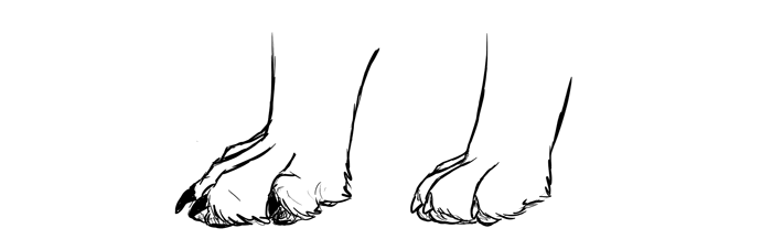 700x227 How To Draw A Dog Details Make The Difference - Dog Paw Sketch