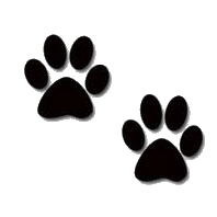 198x198 Dog Clip Art - Dog Paw Sketch