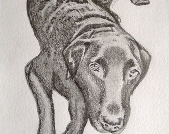 340x270 Dog Pencil Drawing Etsy - Dog Pencil Sketch