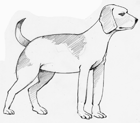 288x253 How To Draw A Dog Realistically Or Cartoon Style - Dog Pencil Sketch