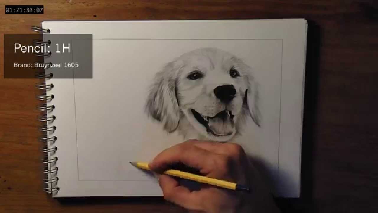 1280x720 How To Draw Dog Fur - Dog Pencil Sketch