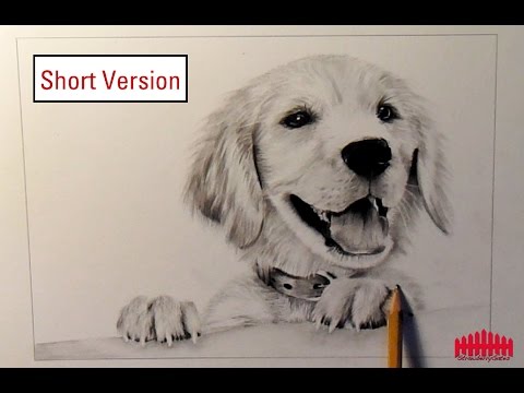 480x360 Pencil Drawing Dog - Dog Pencil Sketch