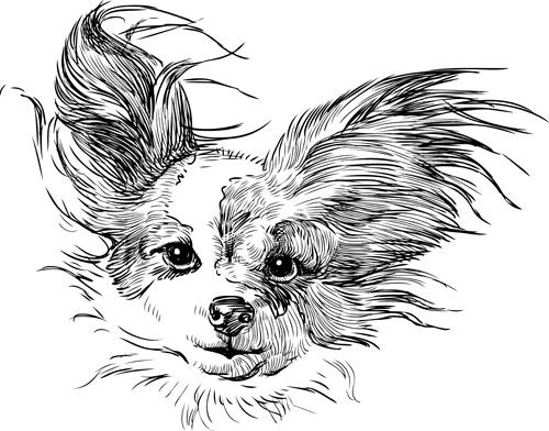 500x392 Sketch Dog Design Vector 01 Free Download - Dog Picture Sketch
